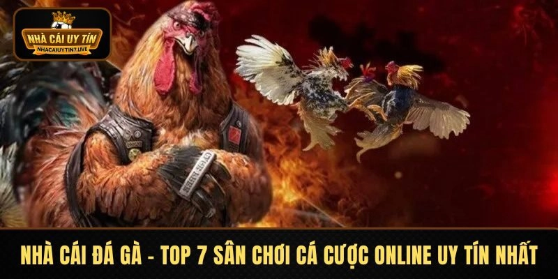 Nhà Cái Đá Gà